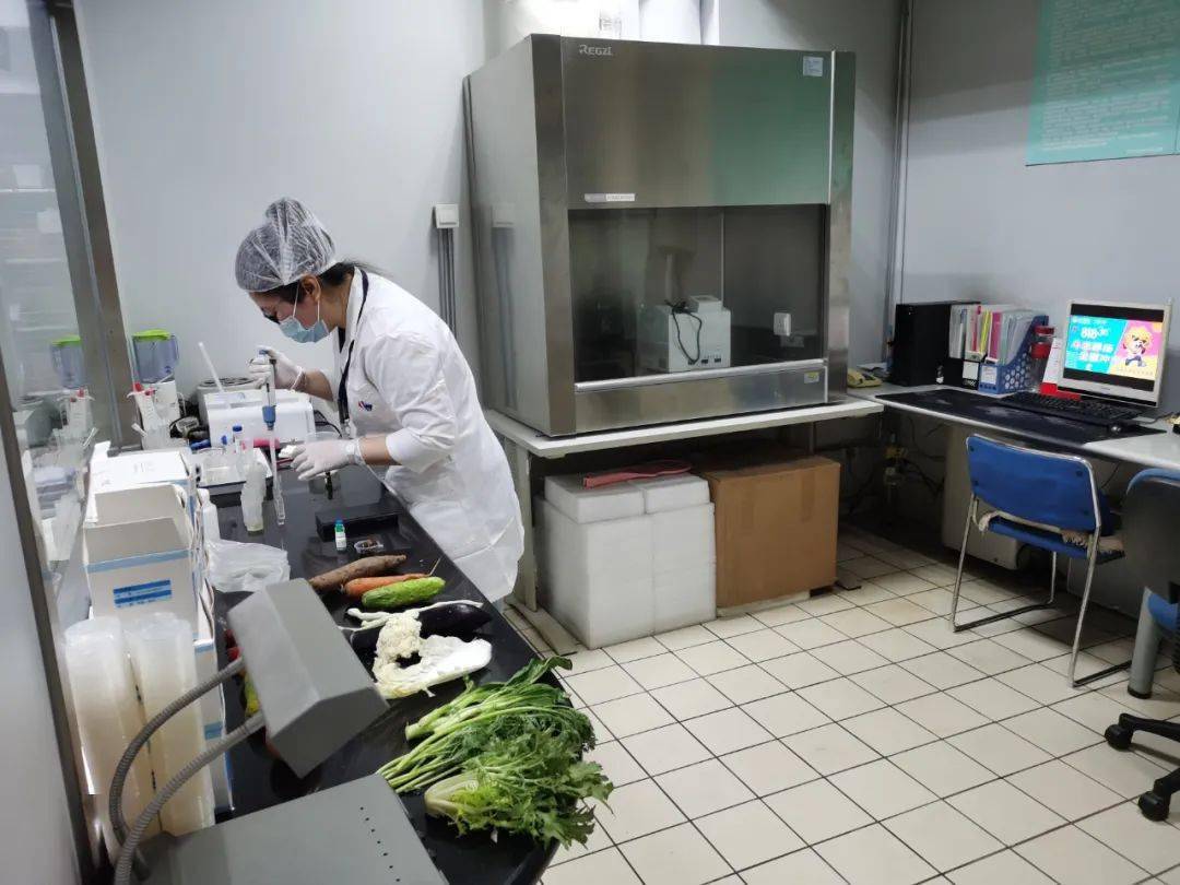 灵寿食品检测实验室装修方案